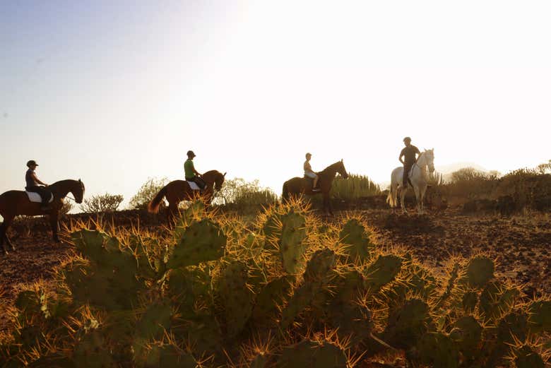 Durante la passeggiata a cavallo