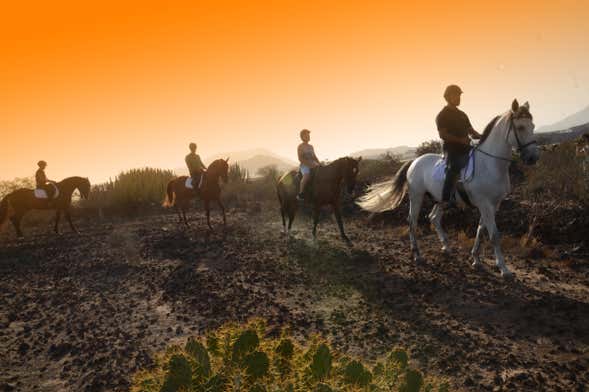 Passeggiata a cavallo nel sud di Tenerife