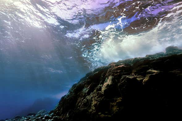 Giro in barca fra le lingue di lava di Costa Adeje + Snorkeling