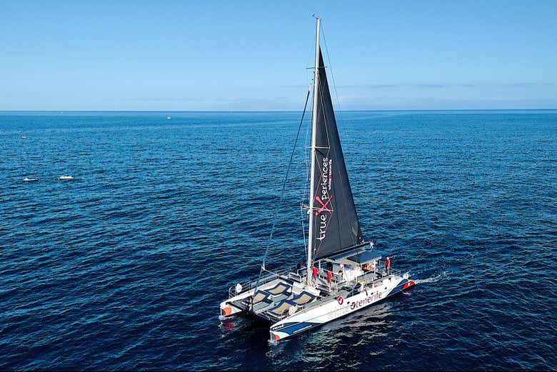 Il catamarano ecologico