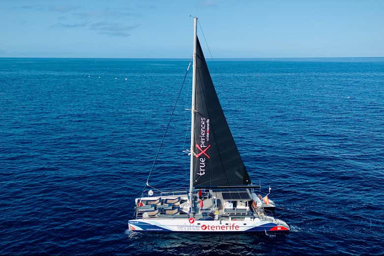 Il catamarano ecologico