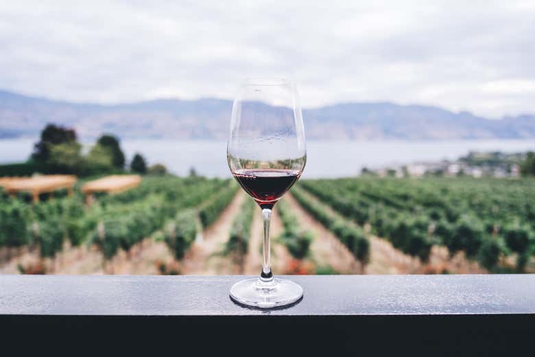 Un bicchiere di vino rosso con i vigneti sullo sfondo