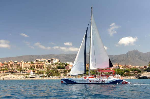 Giro in catamarano di 5 ore con avvistamento e ascolto di cetacei