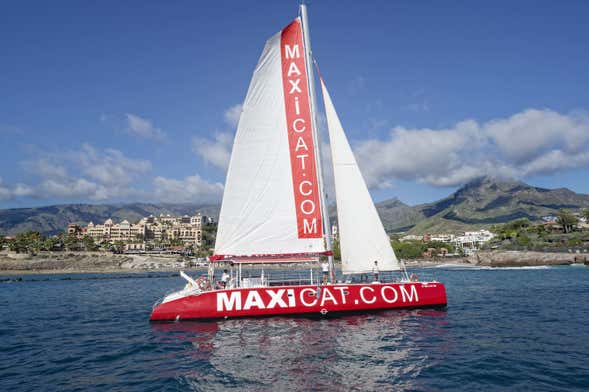 Giro in catamarano a Costa Adeje