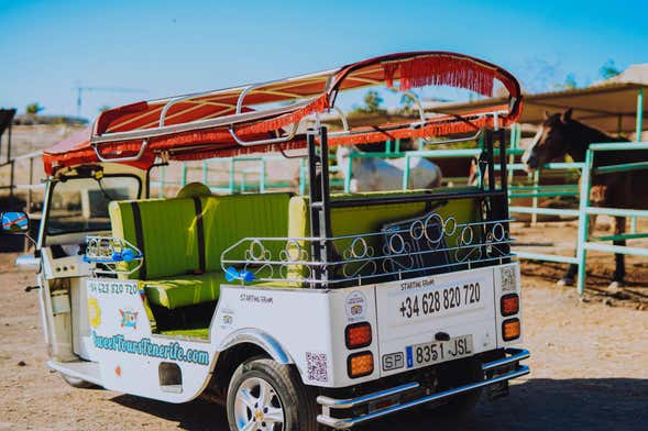 Tour di Costa Adeje in tuk tuk