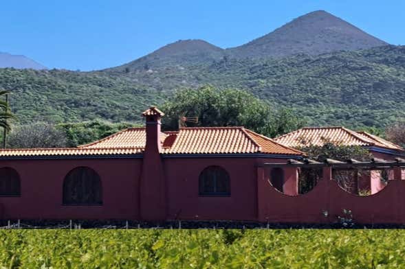 Tour del vino nel sud di Tenerife