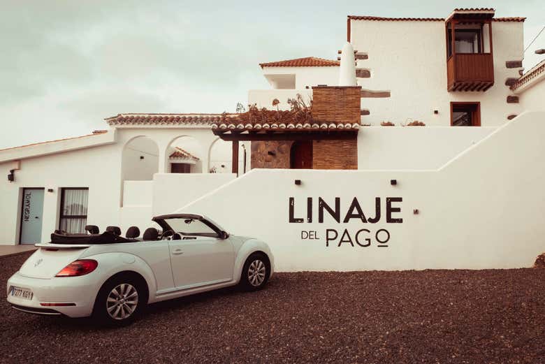 Le cantine Linaje del Pago