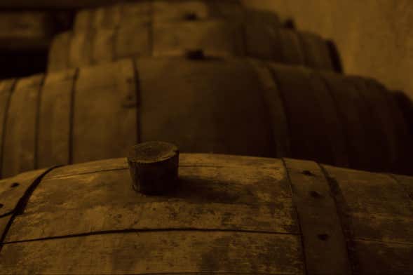 Visita alle cantine Monje