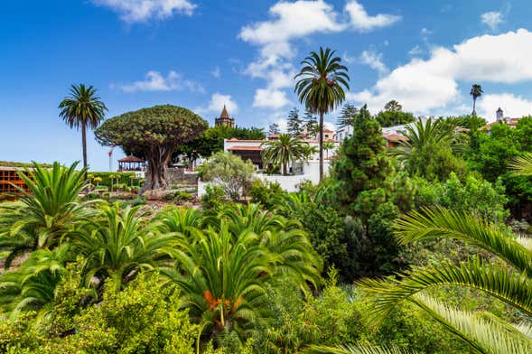 Biglietti per il Parco del Drago Millenario