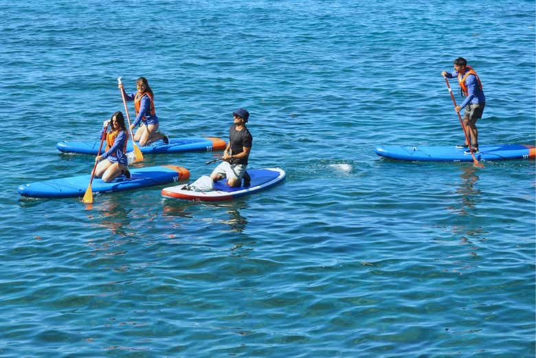 Remando sulle tavole da paddle surf