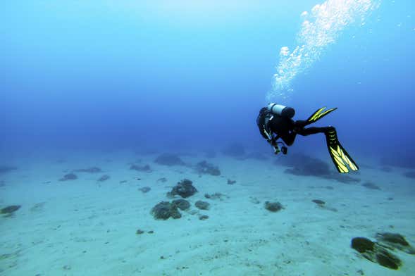 Immersione per principianti a Las Galletas