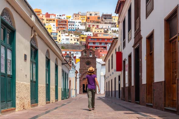 Escursione a La Gomera dal sud di Tenerife