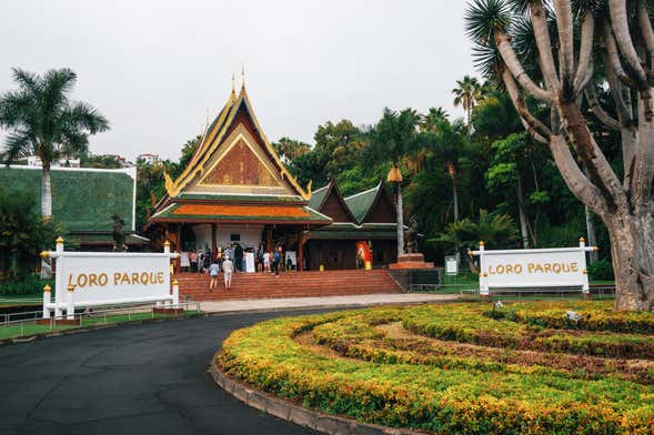 Biglietti per Loro Parque + Siam Park