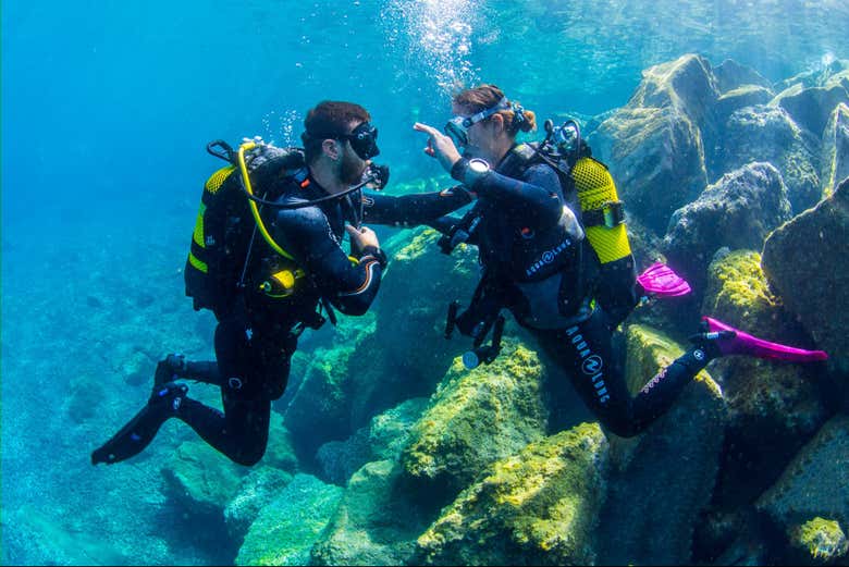 Durante l'esperienza di prima immersione