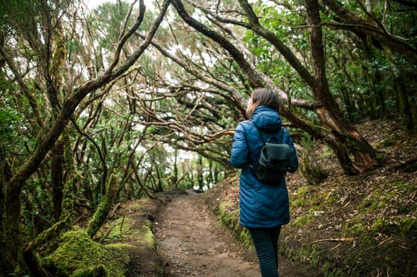 Trekking nel Parco rurale di Anaga