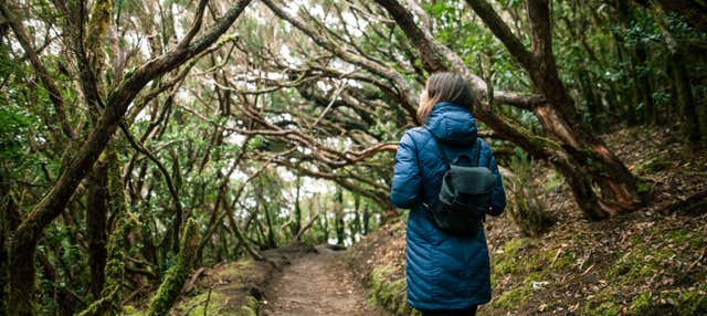 Trekking nel Parco rurale di Anaga
