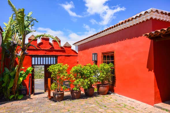 Tour del vino nel nord di Tenerife