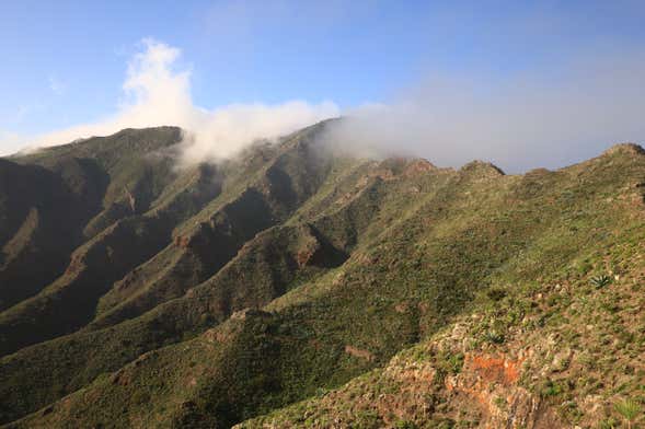 Trekking al Parque Rural de Teno